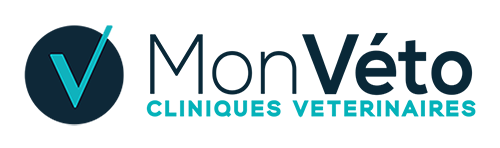 Formation - Mon Veto