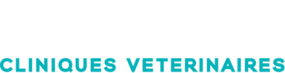 Formation - Mon Veto